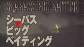 ［中野大輔 SEABASS BIG BAITING］DVDトレーラー