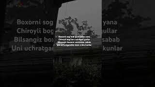 #obuna_bolishni_unutmang #qudratbek #sherlar 