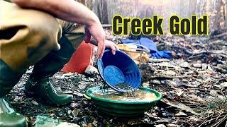 Finding Beautiful North Carolina Gold in A Creek Gold Prospecting