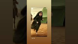 الحسين مصباح الهدى وسفينه النجاه