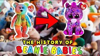 The History of TY Beanie babies to beanie boos 1993 - 2019 ( the evolution of TY )