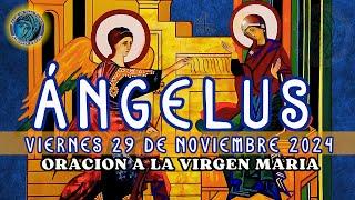 ANGELUS DEL DIA DE HOY, VIERNES 29 DE NOVIEMBRE 2024 ORACION A LA VIRGEN MARIA .