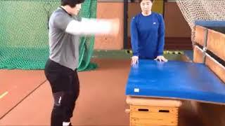 Shot put training