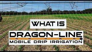 What is Dragon-Line? Transforming Pivot Irrigation through drip technology.