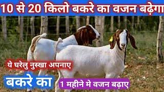 बकरे को मोटा करने के लिए अपनाएं यह घरेलू नुस्खा | Bakre ko mota karne ke liye nuskhe @vnsgoatfarm