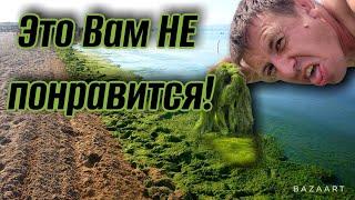 #Джемете. Что БЕСИТ отдыхающих. ЦЕНЫ нового сезона. Отдых НЕ на Черном море. (Папа с Юга)