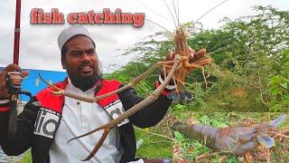 GIANT RIVER PRAWN FISHING || AHTESHAM KHAN FISHING 