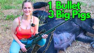 Hunting Queen Takes Down 3 Wild Hogs with ONE Bullet!