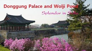 Splendor in Silla---Donggung Palace and Wolji Pond