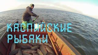 Russian nature! Dagestan. Caspian. Caspian fishermen. Fish harvest.