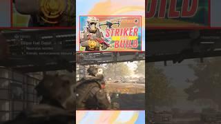 Striker Skill & DPS Build #division2 #skills #skillbuild #dps #dpsbuild #striker #strikerbuild #pve