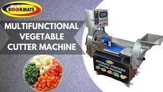 Multi Functional Automatic Vegetable Cutting Machine | All in one Commercial Vegetable Cutter