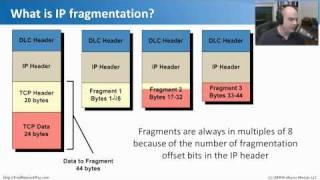 The OSI Model - CompTIA Network+ N10-004: 4.1