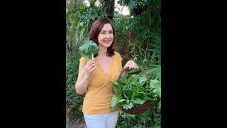 How to Boost your Immune System | Wellness with Cory Quirino