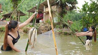 farm life - catch fish, cook live with nature, triệu lily