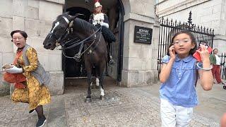King ORMONDE on Duty at Horse Guards in London - Ant View 