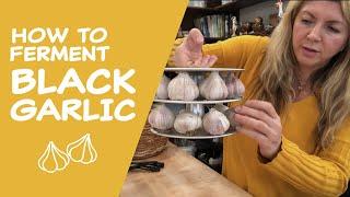 How to Ferment Black Garlic?