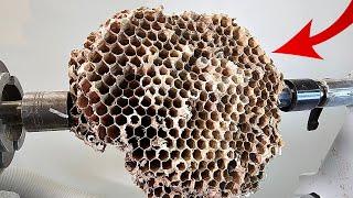 Woodturning - The Wasps Nest