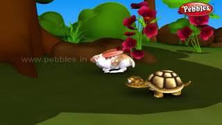 Hare and Tortoise | Animal Stories for Kids in Malayalam | Cartoon stories & Moral Stories for Kids