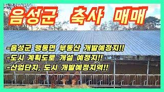 음성군 축사 및 토지 매매(도시 계획 도로 개설 예정지역!!)