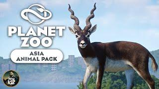 Every New Animal & Piece in the Planet Zoo Asia Animal Pack + Free Update 1.20