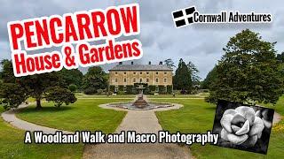 Pencarrow Gardens Tour & Woodland Walk