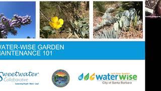 Water Wise Garden Maintenance 101