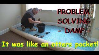 Problem solving, damp bay window - B roll video