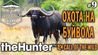 theHunter Call of the Wild #9  - Охота на Буйвола - Штуцер - Африканский Буйвол