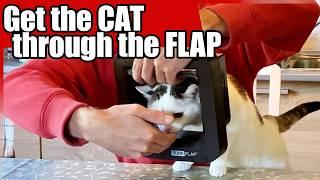 How To Install SureFlap AND Get Your Cat Trough It Easy!