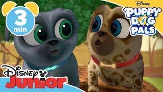 Puppy Dog Pals | We Need to be Quiet Song | Disney Junior UK