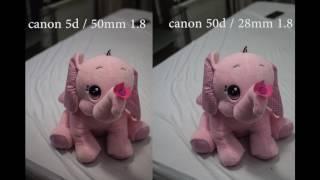 Canon 5d mark 1 vs canon 50d image quality