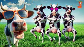 FUNNY COW DANCE FOR 12 MINUTES STRAIGHT | Cow Song & Cow Videos 2024 | Cow dance mix | dancing cow