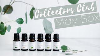 Sixth Scents Oils May Box