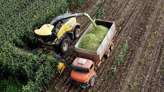 Corn Silage Harvest