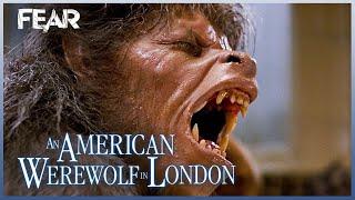 Iconic Wolfman Transformation Scene | An American Werewolf In London