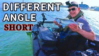 The Bass Are Getting Bigger..! Sea Bass Fishing South Coast UK #floattube #bellyboat