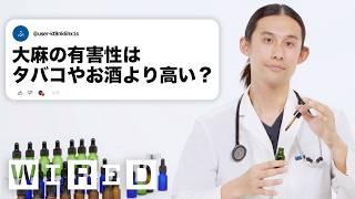 医療大麻のお医者さんだけど質問ある？ | Tech Support | WIRED Japan