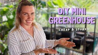 The DIY mini Greenhouse that changed how I grow Seeds! 