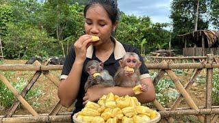 Momo & Nana picked jackfruit with their mother on the farm and enjoyed delicious jackfruit dish