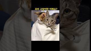 몇살되면 혼자 자나요?