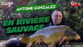 CARP LSD TV | En  Rivière Sauvage avec Antoine Gonzalez | Pêche de la carpe