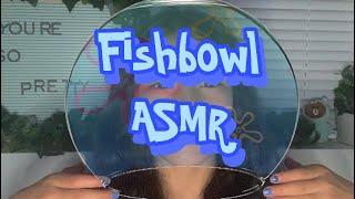 Fishbowl asmr|Asmr|
