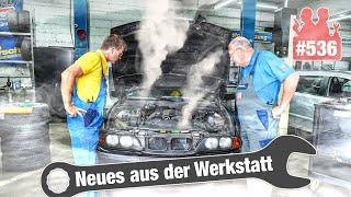 SCHON WIEDER Werkstatt-Pfusch?!  Golf III steht seit einem Jahr | Mit Nebel gegen BMW-Motorprobleme