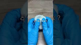 100均スライムにスノーパウダーを入れる実験ASMR