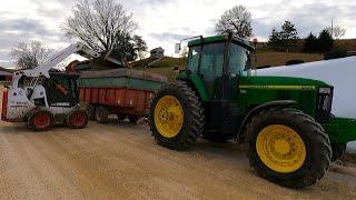 Opening Our Big Silage Pile! The Start To A Winters Worth Of Feed!