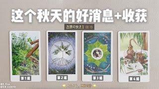 占卜 | 这个秋天的好消息？你会收获什么？阻碍和卡点在哪？