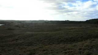 Morden Bog National Nature Reserve