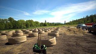 How does SOLO Farms pull off large scale no-till?