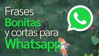 Beautiful and short quotes for WhatsApp in Spanish (2021) (4k)